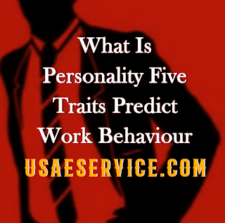 Personality Five Traits Predict Work Behaviour