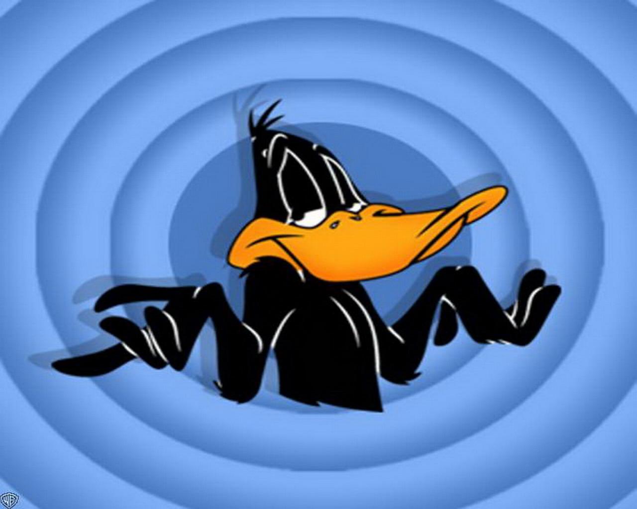 daffy duck