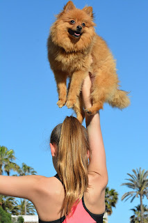 Girl holds a brown dog in one hand in the air