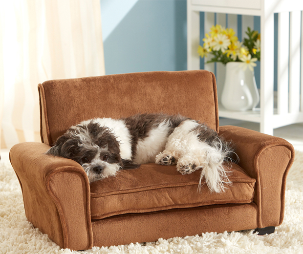 Pet Couch Enchanted Home Pet Ultra Plush Club Chair