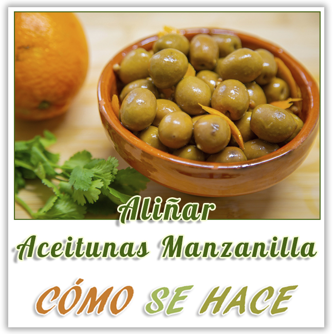 ALIÑAR_ACEITUNAS_MANZANILLA_EN_CASA