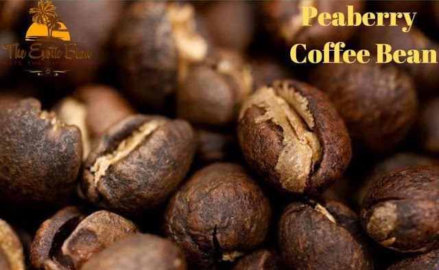 peaberry coffee bean 