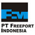  PT Freeport Indonesia 