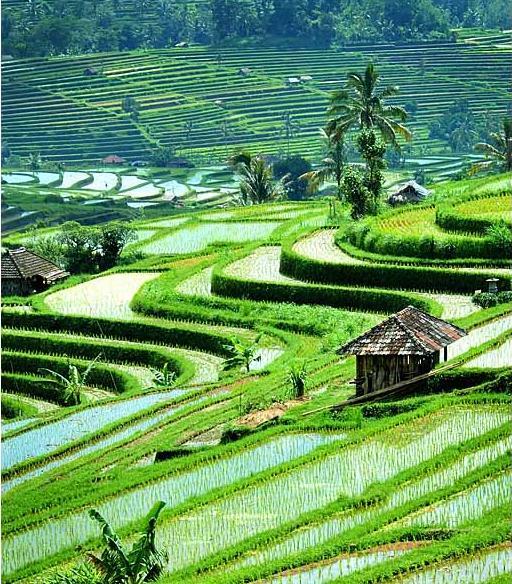 Pemandangan Terindah Di Dunia INDONESIA DINAMIS