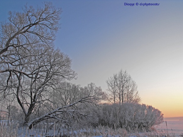 A Winter's Morning Down By The Bay Of Quinte