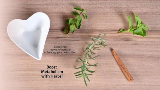 Herbs for Belly Fat