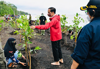  Presiden: Rehabilitasi Mangrove Akan Terus Kita Lakukan