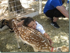 IMG_5746 IMG_5746