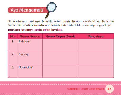 Kunci Jawaban Tematik Tema 1 Kelas 5 Hal 43 Ayo Mengamati 