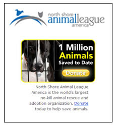 North Shore Animal League -The world’s largest no-kill animal rescue and adoption organization