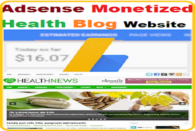 Adsense Monetized Travel blog website