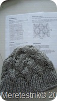 IMG_1374 IMG_1374
