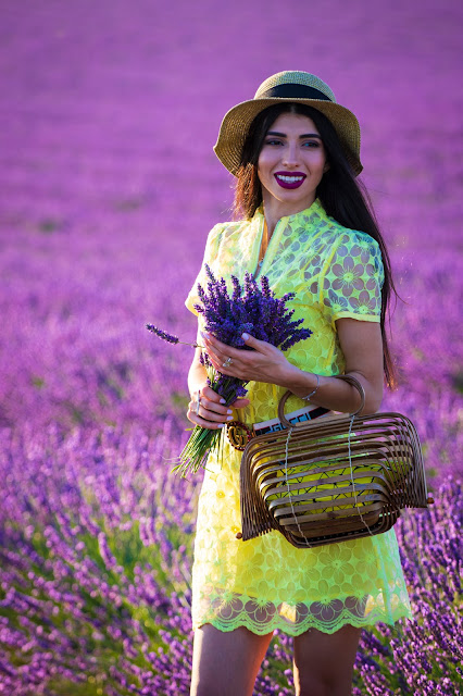 Valensole-Campi di lavanda al tramonto