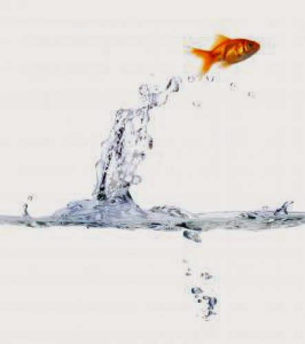 Benefits Of Our Nlp Master Practitioner Training