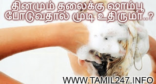 use shampoo daily is good for hair, apply shampoo hair fall, hair loss dounts in tamil, skin doctor specialist advice about using shampoo