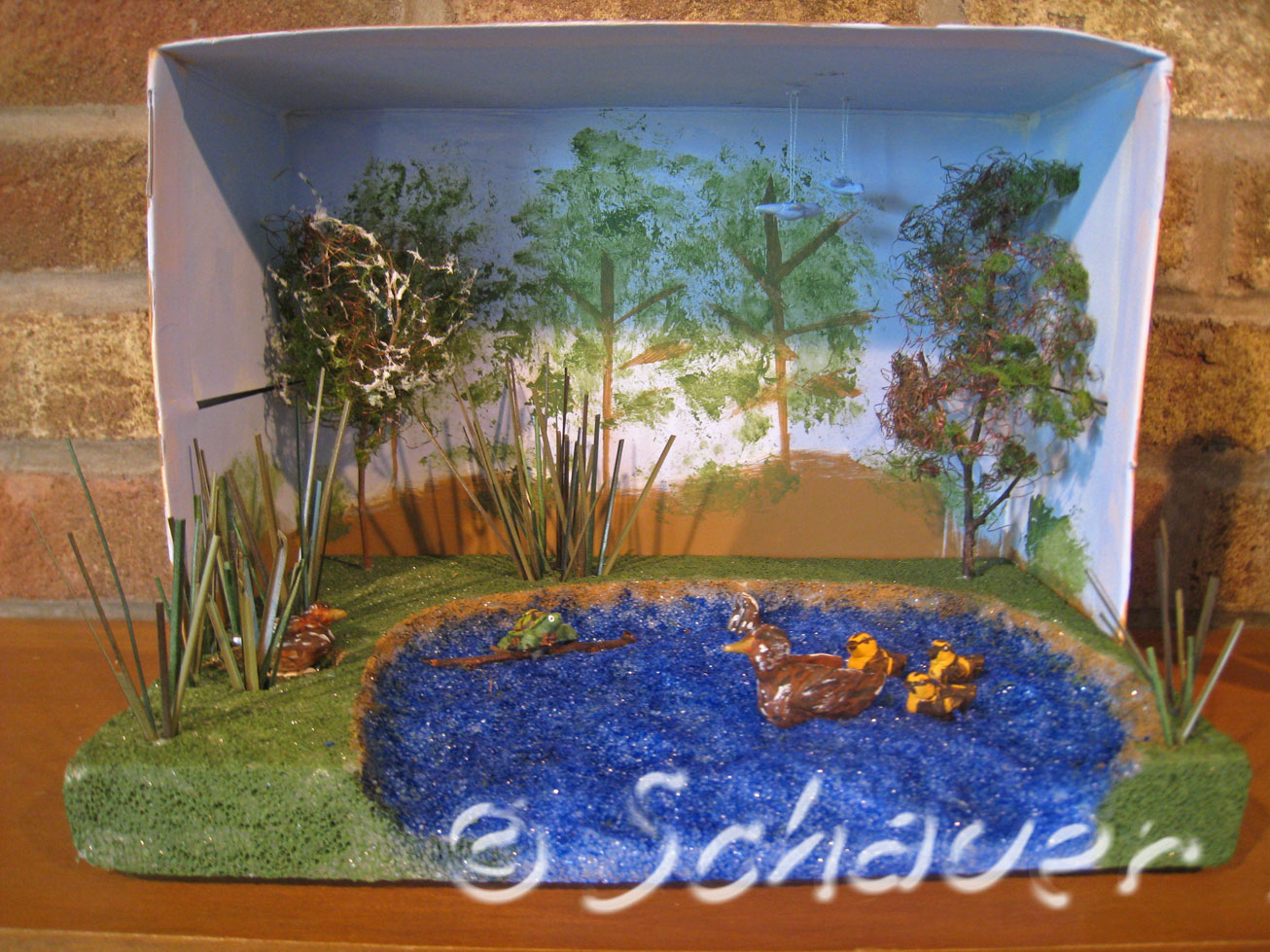 Mrs. Lawsons Class: Dioramas