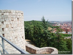 132-Burgos. Castillo - P7190331