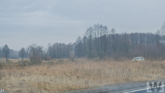 Wycinka drzew pomiędzy Szubinem a Bydgoszczą