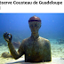 ✨ Réserve Cousteau de Guadeloupe - 971