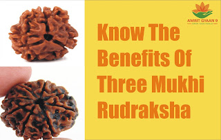 Know The Benefits Of Three Mukhi Rudraksha