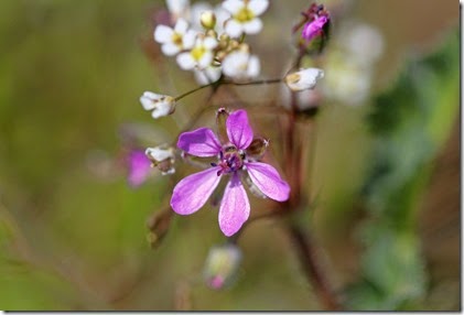 _MG_0765_edited-1