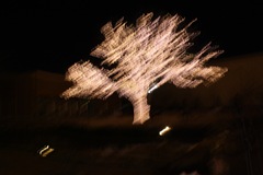 IMG_3080