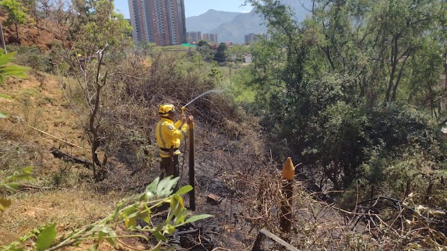 En Bello: 28 incendios forestal van en el 2024