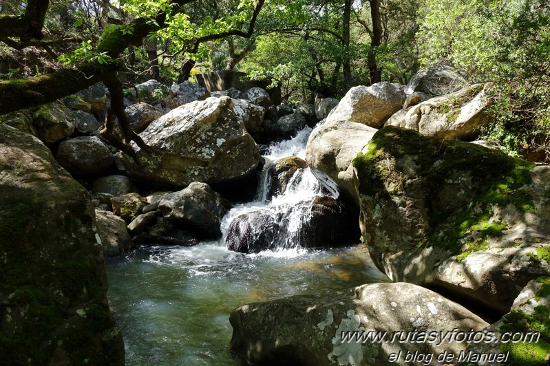 El Bujeo - Pista de la Algamasilla - Puerto de la Higuera - Río Guadalmesí