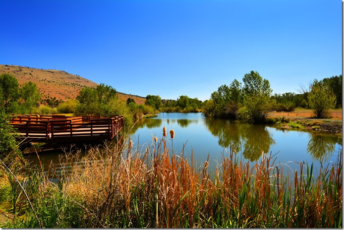 Clyde Holliday Lake