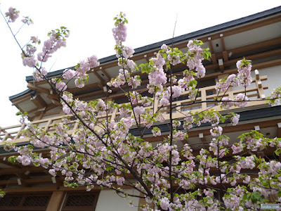 日蓮本宗連興寺