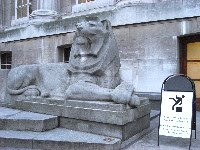 英国便り トラファルガー広場のライオン