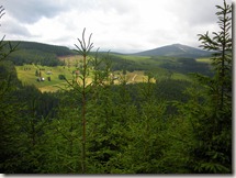 DSCN3145