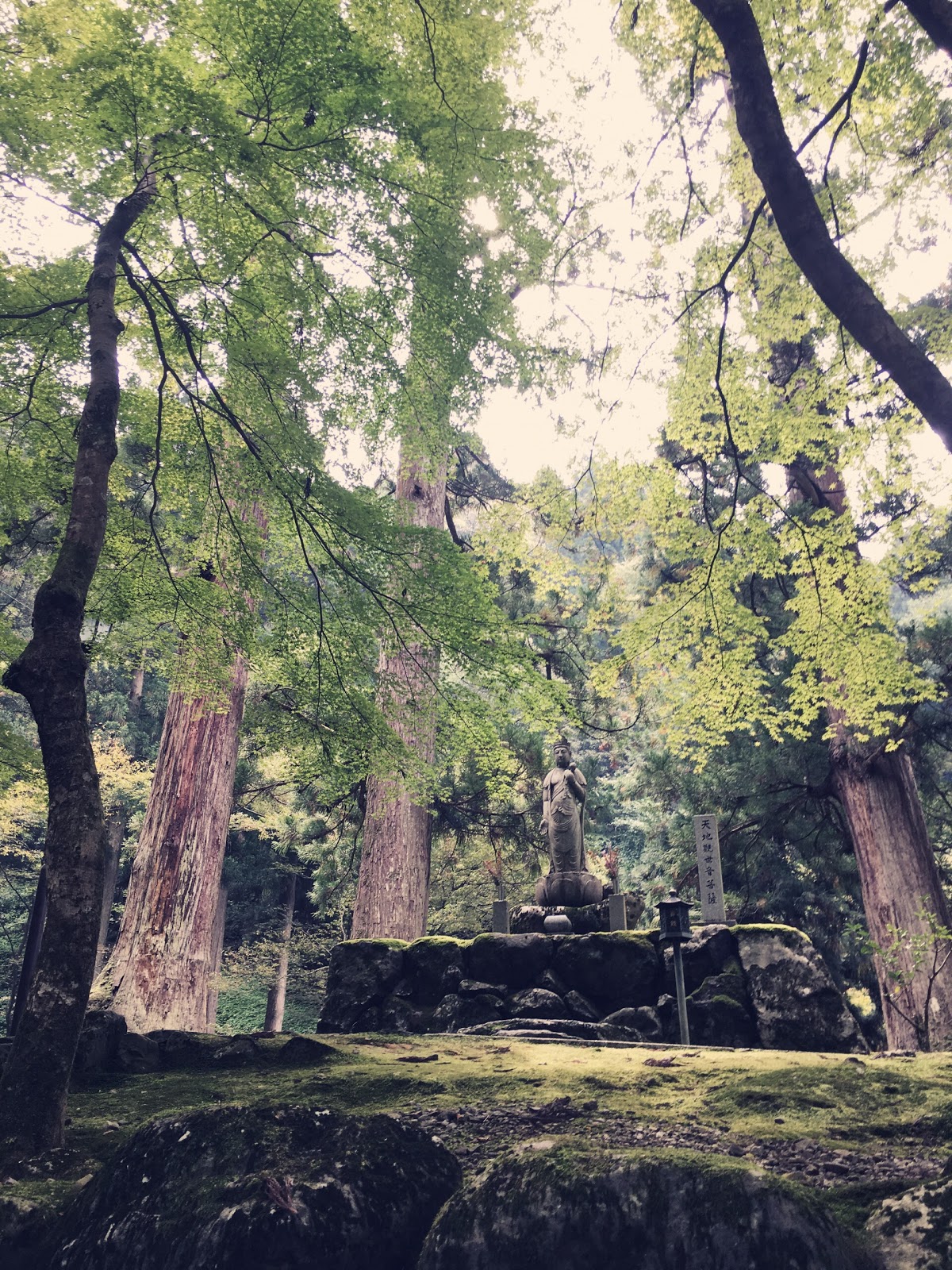 禅 暮らしそのものが修行 永平寺に行ってきました ヨガとシンプルライフ