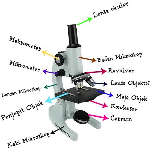 Bagian bagian Mikroskop  Penemuan Terbaru