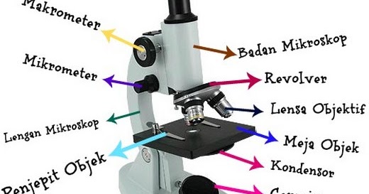 Bagian bagian Mikroskop  Penemuan Terbaru