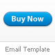 iNewsletter - ThemeForest Item for Sale