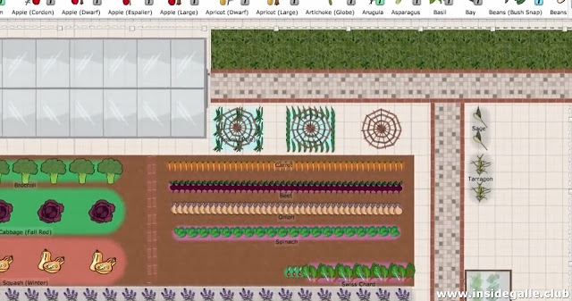 how to plan a vegetable garden the basics of planting for beginners 8