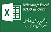 Microsoft Excel MCQ in Urdu with Answers|مائکرو سافٹ ایکسل معروضی سوالات مع جوابات