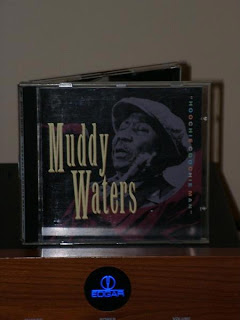 Muddy Waters