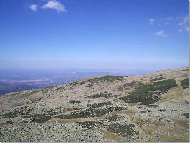 P8293522