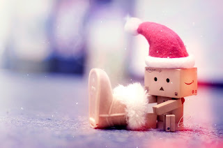 danbo christmas