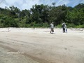 Teluk_Limau_beach_Bako_National_Park_78