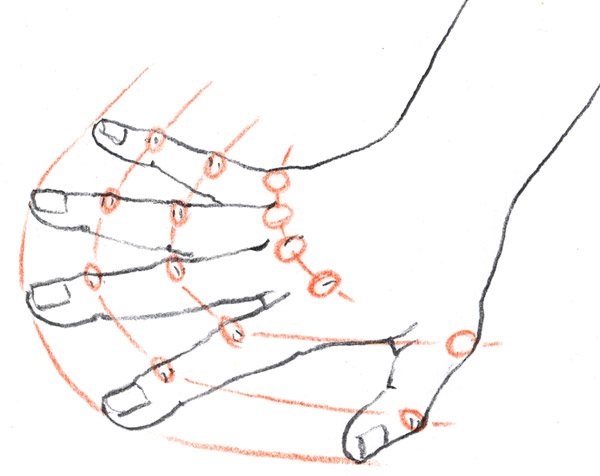 An Illustrator's Life For Me!: Step-by-Step: How to Draw Hands