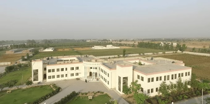 pic of uni of okara