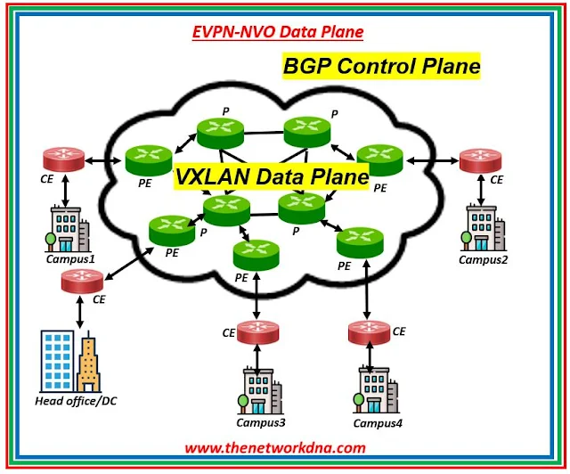 EVPN-NVO Data Plane