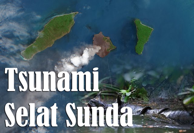 Tsunami Selat Sunda, Badak Selamat Petugas Meninggal | Belajar dari Badak Jawa