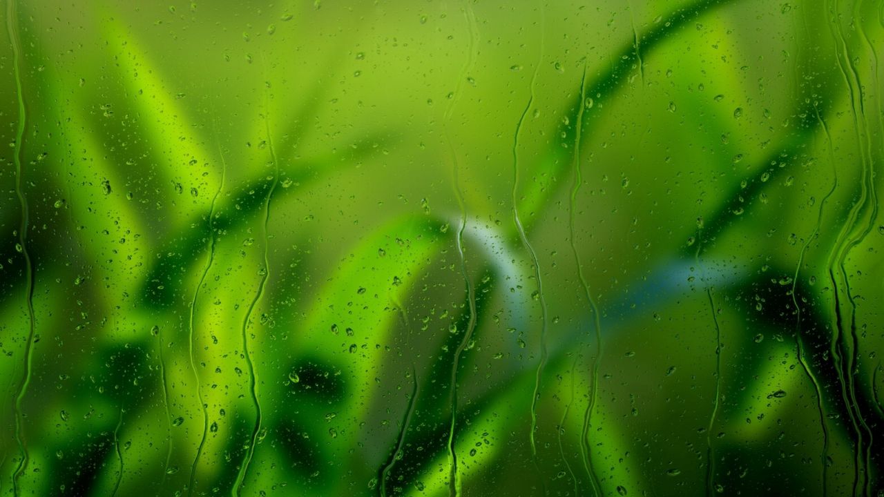 Wallpaper Grass Glass Rain Drops