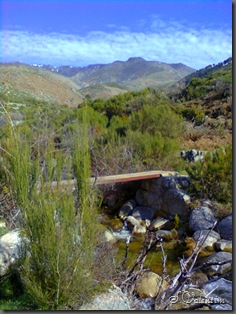 foto0036