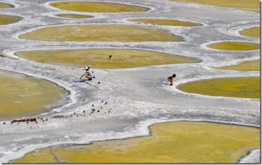 spotted-lake-osoyoos-1