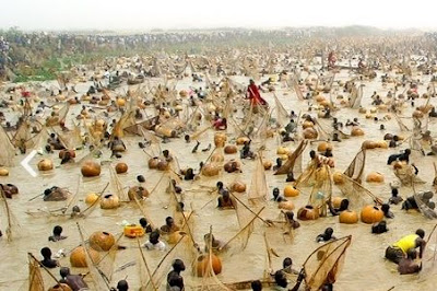 Argungu Fishing Festival